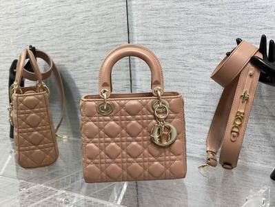 DIOR Handbags 566